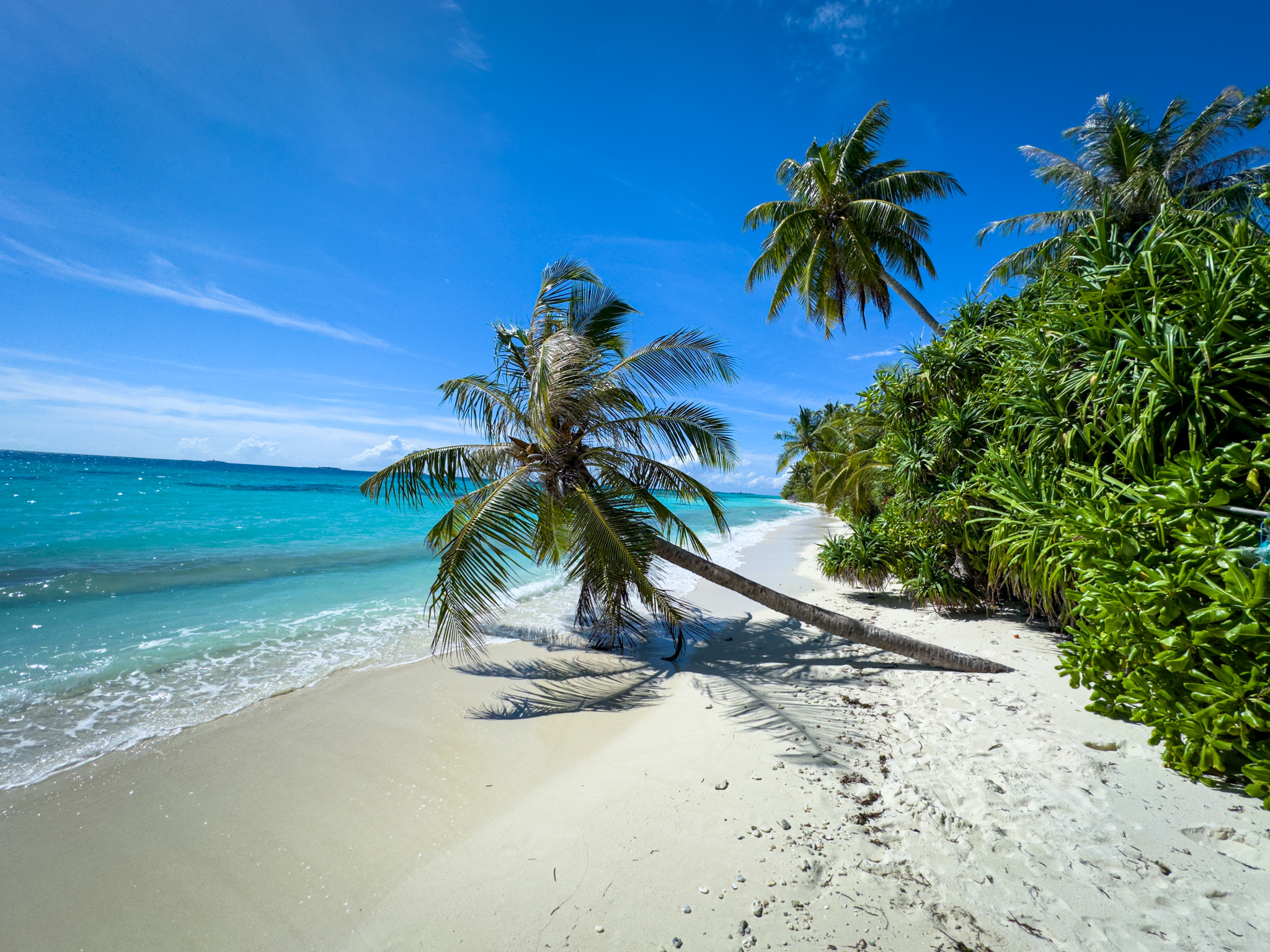 Dhigurah